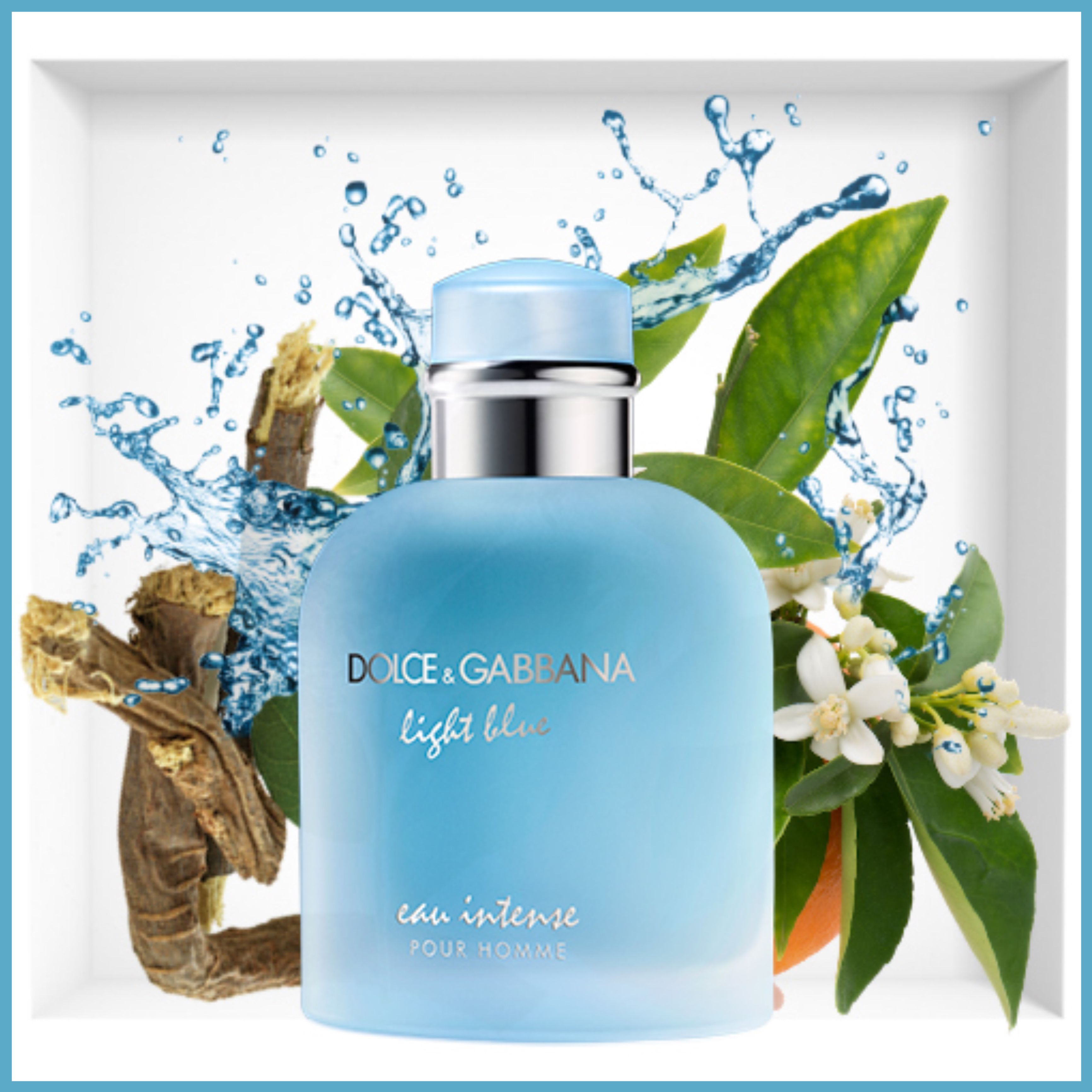 DOLCE GABBANA BLUE EAU EDP 100ML M | Perfumes